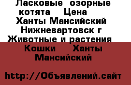  Ласковые, озорные котята. › Цена ­ 5 - Ханты-Мансийский, Нижневартовск г. Животные и растения » Кошки   . Ханты-Мансийский